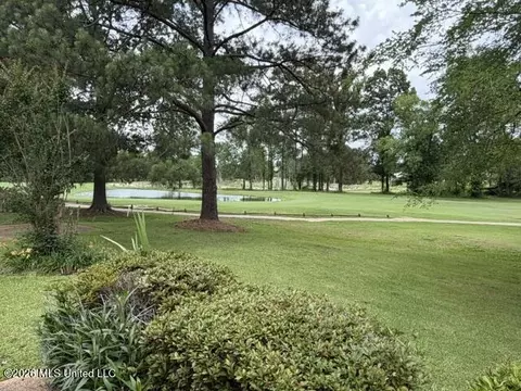 Other - 340 Hanley Cir, Brandon, MS 39047 photo 10 of 11