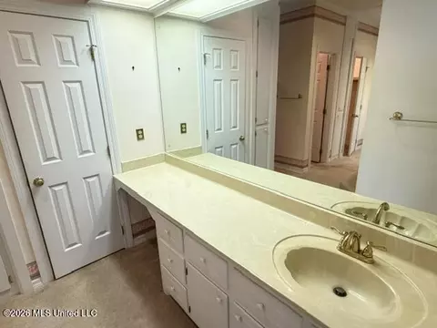 Bath - 340 Hanley Cir, Brandon, MS 39047 photo 1 of 7
