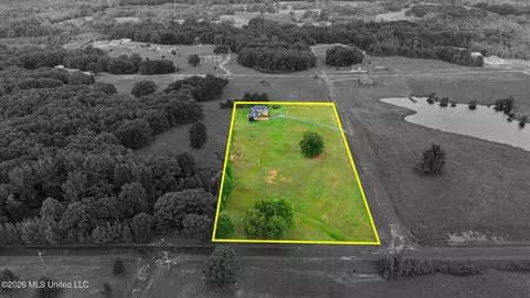 Other - 39 Winter Oaks Dr, Lamar, MS 38642 photo 16 of 19