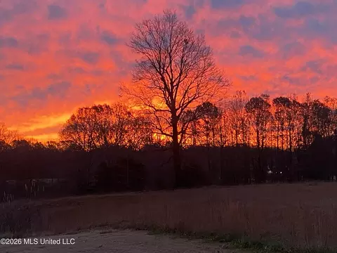 Other - 39 Winter Oaks Dr, Lamar, MS 38642 photo 19 of 19