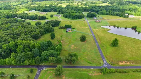 View/Area - 39 Winter Oaks Dr, Lamar, MS 38642 photo 2 of 5