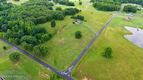 View/Area - 39 Winter Oaks Dr, Lamar, MS 38642 photo 3 of 5