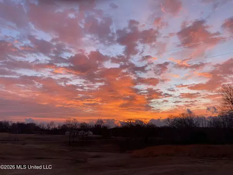 Other - 39 Winter Oaks Dr, Lamar, MS 38642 photo 18 of 19