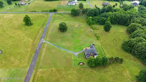 View/Area - 39 Winter Oaks Dr, Lamar, MS 38642 photo 5 of 5