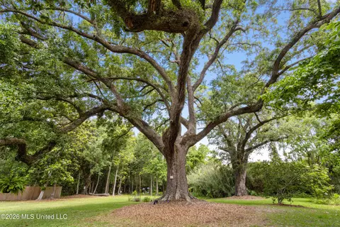 Other - 759 E 2nd St, Pass Christian, MS 39571 photo 3 of 3