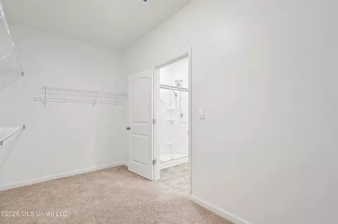 Other - 2397 Hyacinth Ln, Hernando, MS 38632 photo 8 of 16
