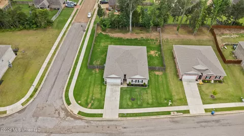 View/Area - 2397 Hyacinth Ln, Hernando, MS 38632 photo 3 of 3