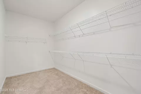 Other - 2397 Hyacinth Ln, Hernando, MS 38632 photo 7 of 16