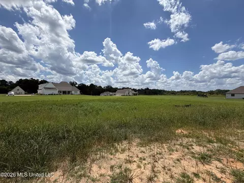 Exterior - 930 Mulberry Dr, Brandon, MS 39047 photo 5 of 6