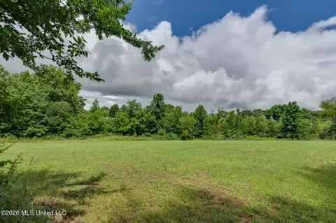 Exterior - 5969 Sycamore Dr, Hernando, MS 38632 photo 5 of 5