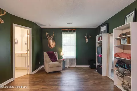 Other - 5969 Sycamore Dr, Hernando, MS 38632 photo 7 of 9