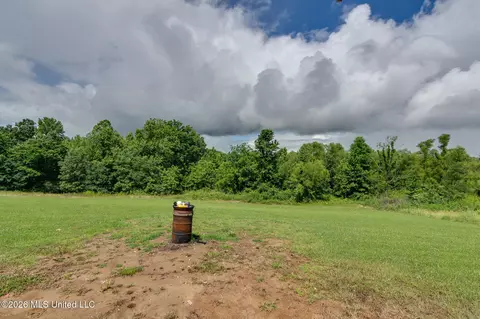 Exterior - 5969 Sycamore Dr, Hernando, MS 38632 photo 4 of 5