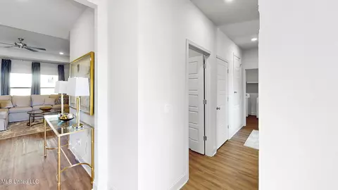 Entry Way - 227 Canvasback Trl, Brandon, MS 39047 photo 10 of 10