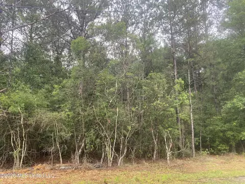 21205 S Fork Rd, Saucier, MS 39574 photo 6