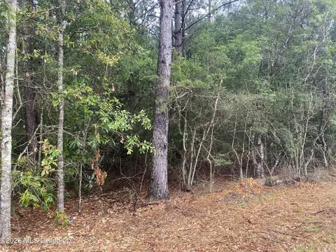 21205 S Fork Rd, Saucier, MS 39574 photo 4