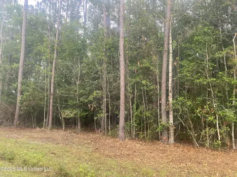 21205 S Fork Rd, Saucier, MS 39574 photo 7