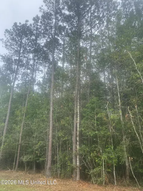 21205 S Fork Rd, Saucier, MS 39574 photo 8
