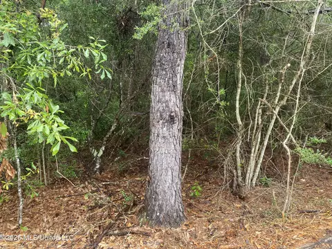 21205 S Fork Rd, Saucier, MS 39574 photo 5
