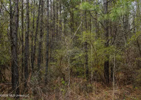 Church Street, Summit, MS 39666 photo 3