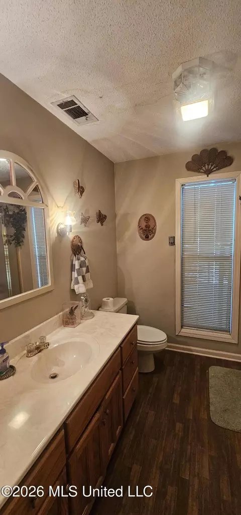 Bath - 405 Chickasaw Rd, Pope, MS 38658 photo 4 of 5