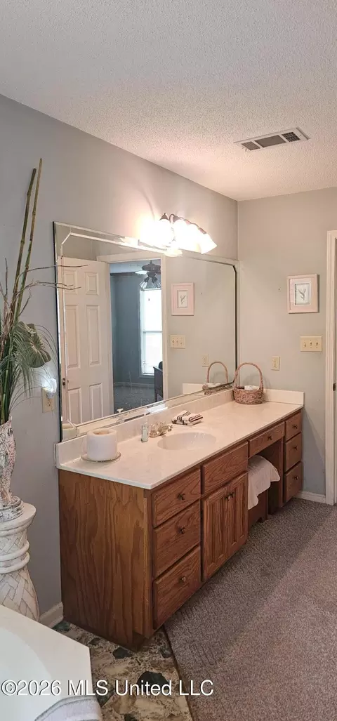 Bath - 405 Chickasaw Rd, Pope, MS 38658 photo 2 of 5