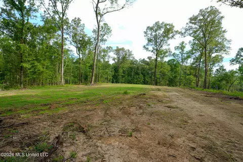 Lorance Road, Clinton, MS 39056 photo 6