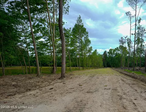 Lorance Road, Clinton, MS 39056 photo 2