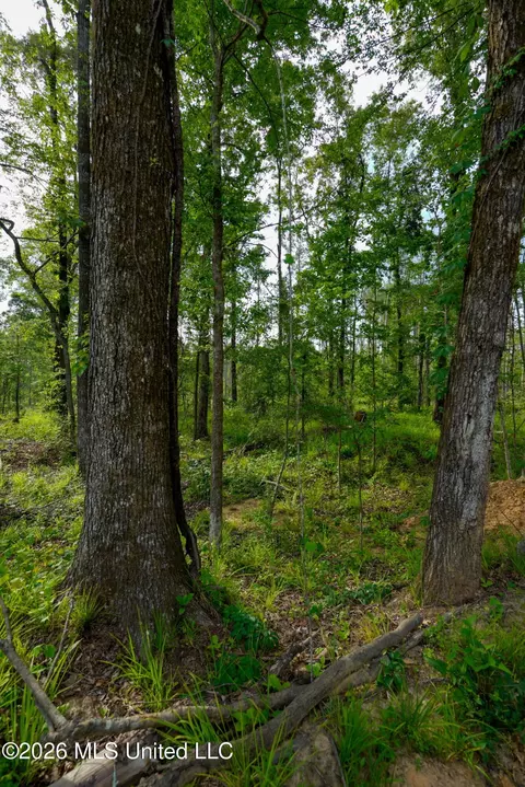Lorance Road, Clinton, MS 39056 photo 7