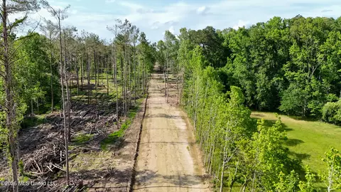 Lorance Road, Clinton, MS 39056 photo 11