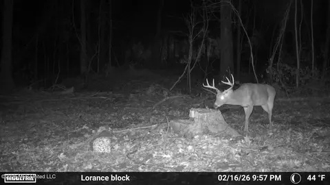 Lorance Road, Clinton, MS 39056 photo 23
