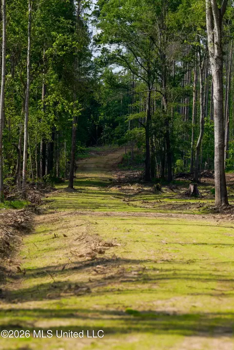 Lorance Road, Clinton, MS 39056