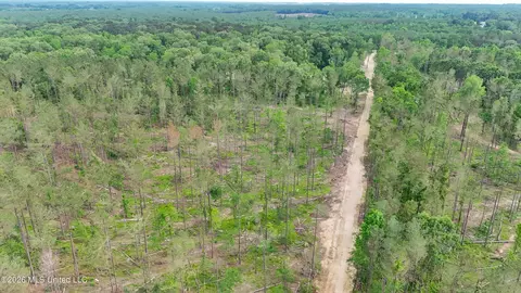 Lorance Road, Clinton, MS 39056 photo 15