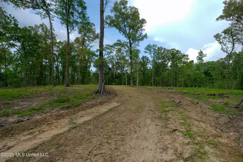 Lorance Road, Clinton, MS 39056 photo 3