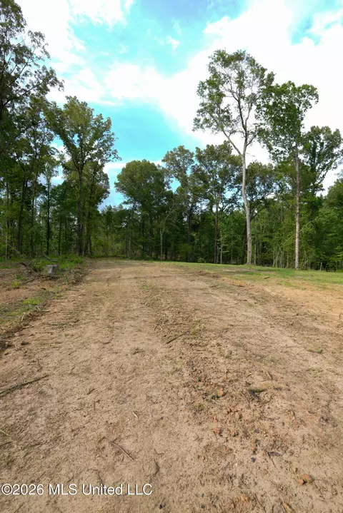 Lorance Road, Clinton, MS 39056 photo 8