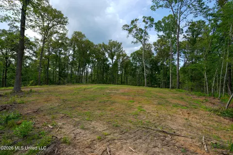 Lorance Road, Clinton, MS 39056 photo 4