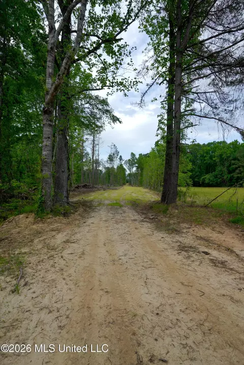 Lorance Road, Clinton, MS 39056 photo 10