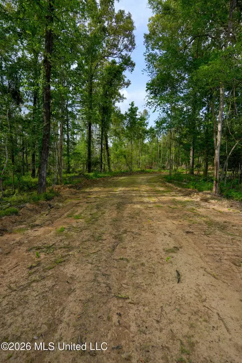 Lorance Road, Clinton, MS 39056 photo 5