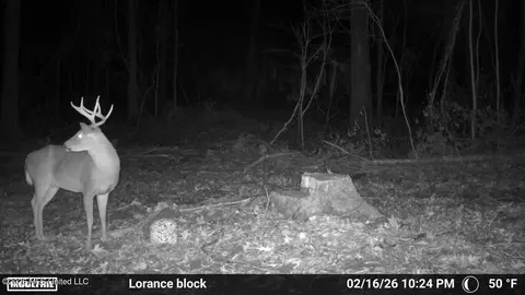 Lorance Road, Clinton, MS 39056 photo 22