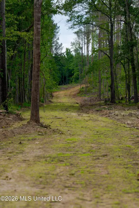 Lorance Road, Clinton, MS 39056 photo 9