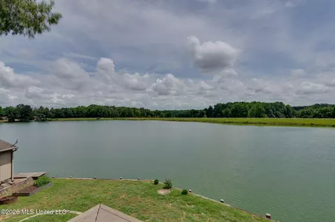 View/Area - 4838 Victoria Dr, Nesbit, MS 38651 photo 1 of 6