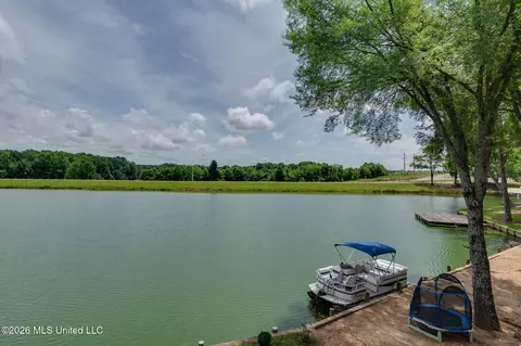View/Area - 4838 Victoria Dr, Nesbit, MS 38651 photo 3 of 6