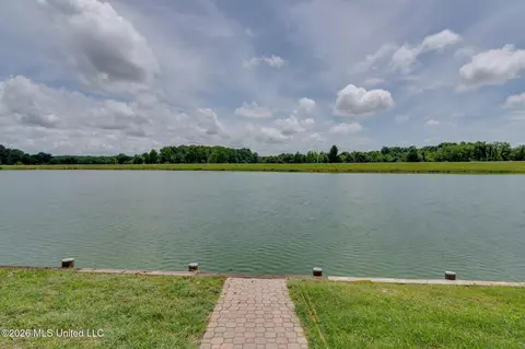 View/Area - 4838 Victoria Dr, Nesbit, MS 38651 photo 4 of 6