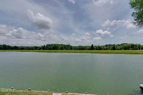 View/Area - 4838 Victoria Dr, Nesbit, MS 38651 photo 2 of 6