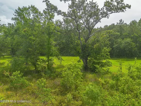 Oliver Street, Bay Saint Louis, MS 39520