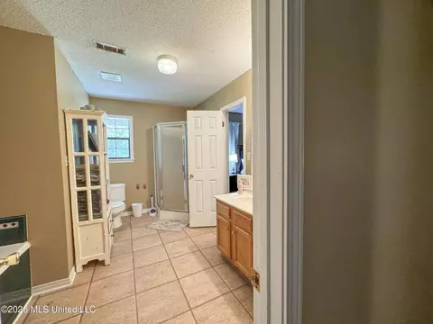 Bath - 2336 Dummyline Rd, Lambert, MS 38643 photo 1 of 6