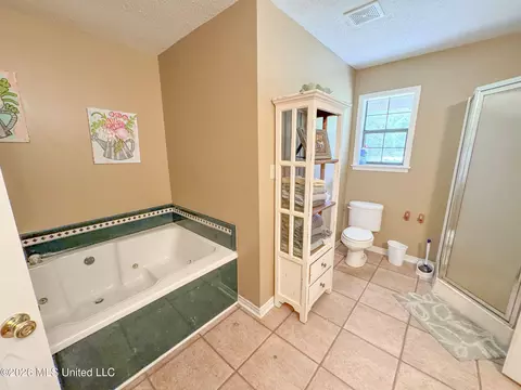 Bath - 2336 Dummyline Rd, Lambert, MS 38643 photo 3 of 6