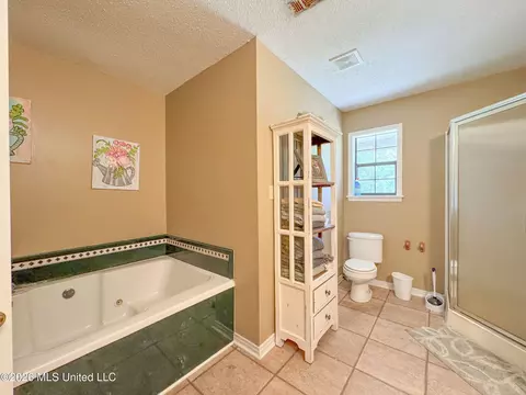 Bath - 2336 Dummyline Rd, Lambert, MS 38643 photo 2 of 6
