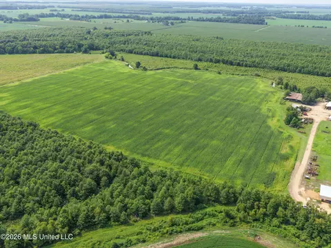 Dummyline Road, Crowder, MS 38622 photo 8