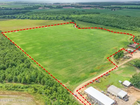 Dummyline Road, Crowder, MS 38622 photo 3