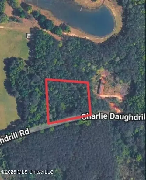 1 Acre Charlie Daughdrill Rd, Carriere, MS 39426
